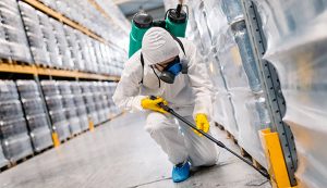 pest spray Gold Coast
