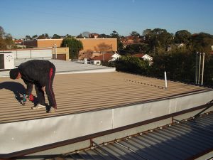 Roof Safety Sydney