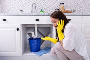emergency plumber