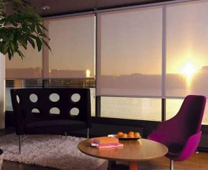 roller blinds online