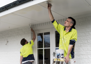 interior painters Christchurch