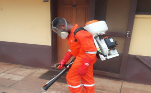 pest control Chinderah
