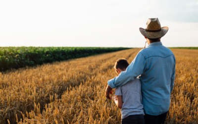 The Benefits Of Small Farm Liability Insurance