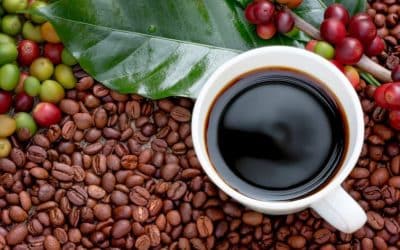 Your Perfect Brew Awaits: How to Choose and Order Organic Coffee Online