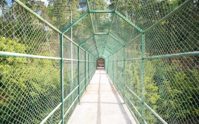 The Importance of Safety Netting in Construction and Industrial Settings