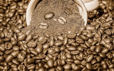 Wake Up to the Best: Your Ultimate Guide to Buy Ground Coffee Online in New Zealand