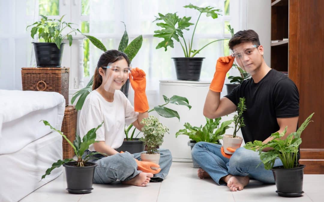 Gift Ideas That Are Perfect for Anyone Who Loves Houseplants and Indoor Gardening